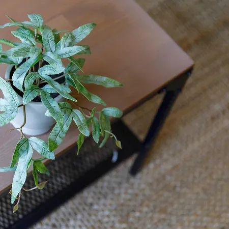 Con Encanto En El Casco Antiguo By * Comarca de Vigo